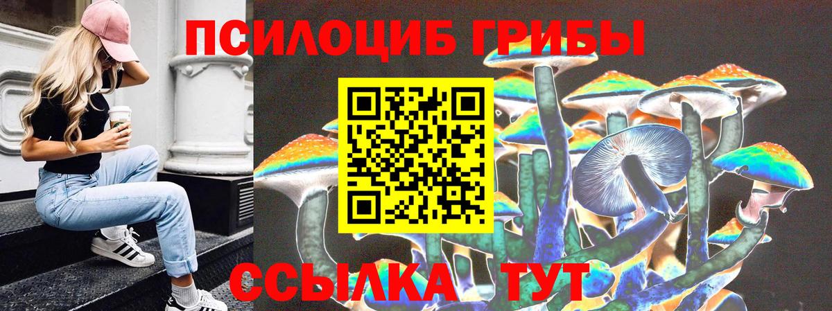 Сунжа  Псилоцибиновые грибы мицелий  Галлюциногенные грибы мицелий  Вход с VPN 